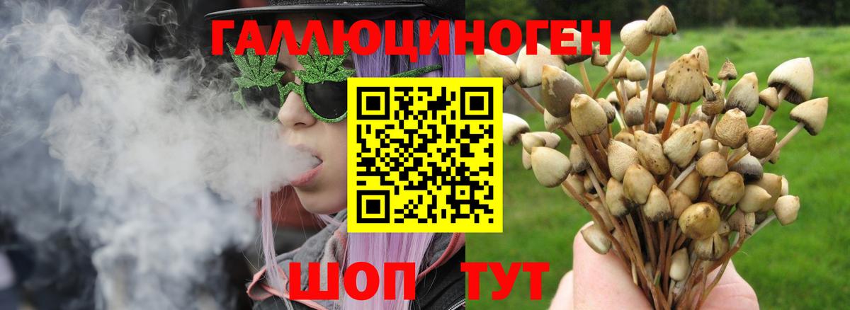 Псилоцибиновые грибы Psilocybine cubensis  Вход с VPN  Кинешма 